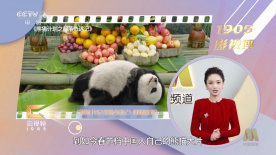 美女咪咪大